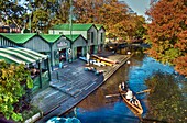 Boating on Avon River, Antigua Boat Sheds, Christchurch, Canterbury, New Zealand
