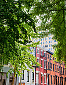 Urban Apartment Buildings, New York, NY, USA