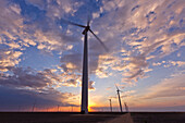 Wind Farm at Sunset, Roscoe, Texas, USA