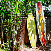 Surfboards Leaning Against a Fence, Bradenton, Florida, United States