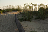 Fenced Off Sand Dunes, Virginia Beach, Virginia, USA