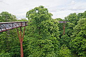 Tree Walkway in Kew Gardens, London, U.K.