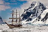 Dutch square rigged tourist ship Europa in heavy pack ice beneath Mt Scott, Penola Strait, Antarctic Peninsula