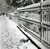 Snow Covered Urban Sidewalk, New York City, USA