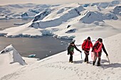 Climbers reach summit Mt Don Roberts above Paradise Bay, Antarctic Peninsula