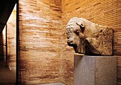 Bull Head  Roman Art Museum  Merida Badajoz Spain