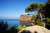 Sa Foradada Deia Mallorca Tramuntana Balearische Inseln Spanien