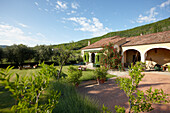 Garden of Agriturismo and vineyard Ca' Orologio, Venetia, Italy