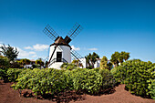 Museumsmühle, Museo Molino, Antigua, Fuerteventura, Kanarische Inseln, Spanien