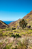 Berge an der Westküste, Gran Canaria, Kanarische Inseln, Spanien