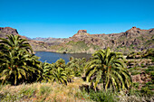 Reservoir, Presa de Soria, Gran Canaria, Canary Islands, Spain