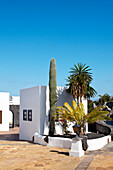 Weisse Häuser am neuen Hafen, Marina Rubicon, Playa Blanca, Lanzarote, Kanarische Inseln, Spanien, Europa