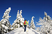 Frau auf Skitour steigt durch Winterwald auf, Hochries, Chiemgauer Alpen, Chiemgau, Oberbayern, Bayern, Deutschland