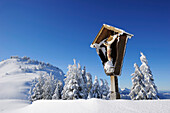 Verschneites Wegkreuz mit Winterwald im Hintergrund, Hochries, Chiemgauer Alpen, Chiemgau, Oberbayern, Bayern, Deutschland