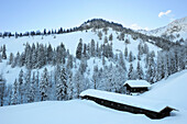 Snow covered alpine hut Koenigsalm with winter forest, Tegernseer range, Bavarian Prealps, Upper Bavaria, Bavaria, Germany