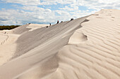 Tourists walking in the dunes, UNESCO World Biosphere Reserve, Slowinski National Park, Polish Baltic Sea coast, Leba, Pomeranian, Poland