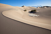 Mesquite Flat Sanddünen, Schlammkruste und Büsche im Death Valley Nationalpark, Kalifornien, USA, Amerika