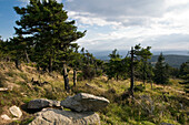 Brockengipfel, Harz, Sachsen-Anhalt, Deutschland