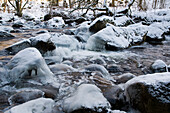 Fluss Kalte Bode im Winter, Schierke, Harz, Sachsen-Anhalt, Deutschland