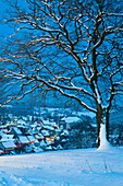 View on St Andreasberg from Glockenberg at dusk, snow, winter, Harz, Lower Saxony, Germany