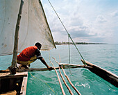 Sailing trip with traditional canoe, near Matemwe village, ahead the north eastern shore, Zanzibar, Tanzania, East Africa