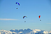 Paraglider on the Brauneck near Lenggries, view to the south, Bad Toelz, Upper Bavaria, Bavaria, Germany