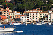 Boats at Marciana Marina, Elba, Tuscany, Italy, Europe