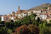 Houses in the sunlight, Rio nell'Elba, Elba, Tuscany, Italy, Europe