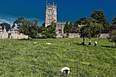 Blick über eine Weide auf die Kirche St. James, Chipping Camden, Gloucestershire, Cotswolds, England, Großbritannien, Europa