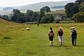 Wanderer im Yorkshire Dales Nationalpark, Yorkshire Dales, Yorkshire, England, Großbritannien, Europa