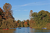 Lake Kleinhesseloher See in autumn, Englischer Garten, English garden, Schwabing, Munich, Upper Bavaria, Bavaria, Germany, Europe