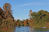 Kleinhesseloher See im Herbst, Englischer Garten, Schwabing, München, Oberbayern, Bayern, Deutschland, Europa