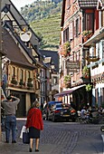 Alsace wine route town Ribeauville France vineyard harvest grapes
