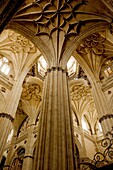 Interior of the New Cathedral of Salamanca. Castilla y León. Spain