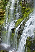 Proxy Falls near McKenzie Pass in the Three Sisters Wilderness, Oregon
