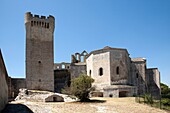 Arles, abbey of Monte Maggiore, France