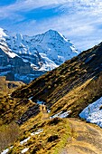 Hiking in the Swiss Alps from Mannlichen to Kleine Scheidegg, Canton Bern, Switzerland