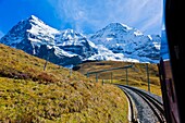 Jungfrau Railway train climbing from Kleine Scheidegg to Eigergletscher, Swiss Alps, Canton Bern, Switzerland
