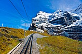 Jungfrau Railway train climbing from Kleine Scheidegg to Eigergletscher, Swiss Alps, Canton Bern, Switzerland