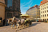 Horse drawn carriage, Neumarkt, Dresden, Saxony, Germany
