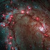 The spectacular new camera installed on NASA´s Hubble Space Telescope during Servicing Mission 4 in May has delivered the most detailed view of star birth in the graceful, curving arms of the nearby spiral galaxy M83   Nicknamed the Southern Pinwheel, M83