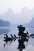 China, Asia, Cormorant Fisherman, Dawn, Guangxi Pro. Asia, China, Cormorant fisherman, Dawn, Guangxi, Guilin, Holiday, Landmark, Li river, Model, Province, Released, Tourism, Travel