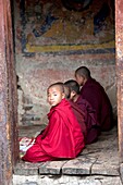 Monks chanting in the temple