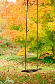 a child´s swing with autumn color leaves in the background