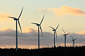 Five wind turbines for power generation in Nova Scotia, Canada