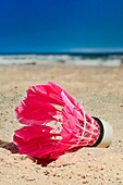 beach, blue sky, Color image, colourful, Copy space, Europe, Germany, indoors, inside, interior, maritime, one, pink, sand, shuttlecock, vertical, V04-1263978, AGEFOTOSTOCK