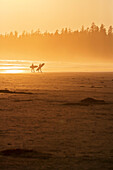 Surfers on a beach, Vancouver Island, British Columbia, Canada