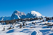 Alpe di Siusi, Mont Seuc in Ladin, South Tyrolean Dolomites, Italy, Winter