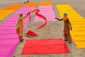 India, Rajasthan, Jodhpur, Women drying fabrics