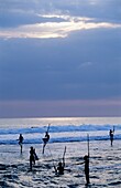 Stilt fishermen at dusk, Weligama region, Sri Lanka